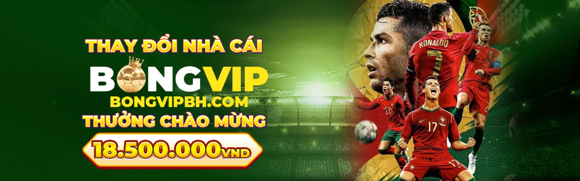 [ R3344 - SEO1] BONGVIP (1920x600) copy