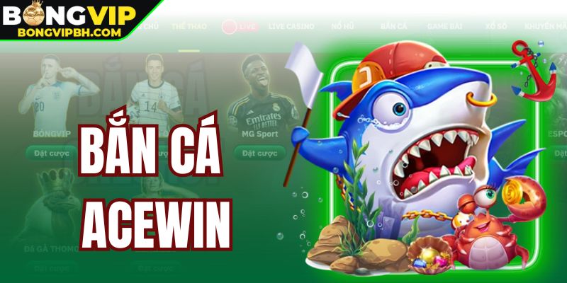 Bắn Cá Acewin - Sảnh Game Bongvip Hàng Đầu Thị Thường