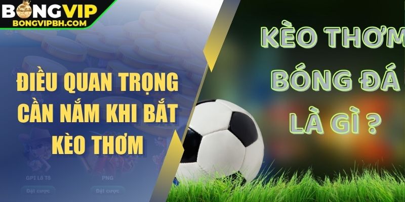 Điều quan trọng cần nắm khi bắt kèo thơm