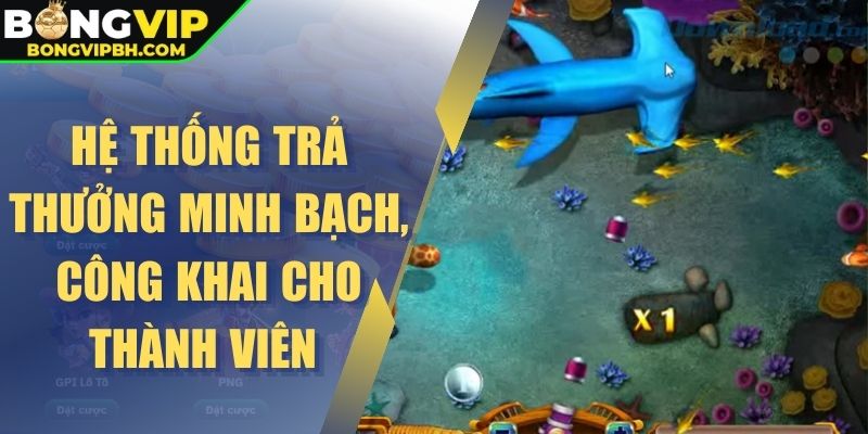 Hệ thống trả thưởng minh bạch, công khai cho thành viên 