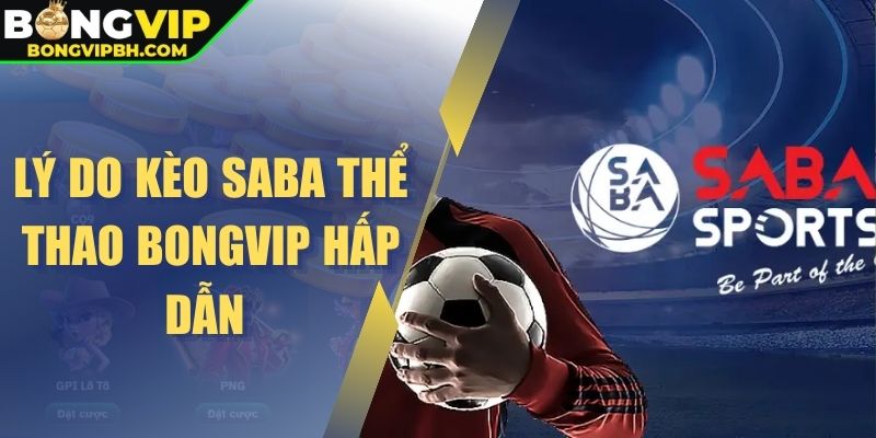 Lý do kèo Saba thể thao Bongvip hấp dẫn