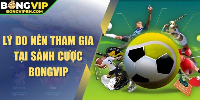 Lý do nên tham gia tại sảnh cược Bongvip