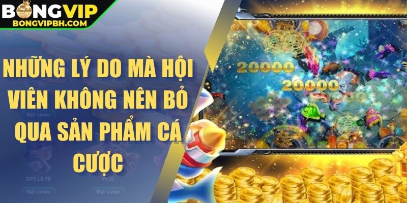 Những lý do mà hội viên không nên bỏ qua sản phẩm cá cược