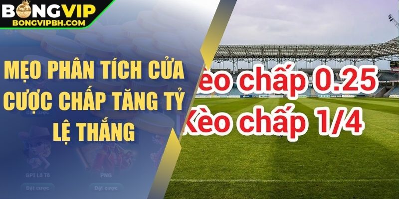 Mẹo phân tích cửa cược chấp tăng tỷ lệ thắng