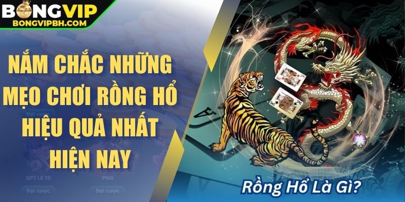 Nắm chắc những mẹo chơi rồng hổ hiệu quả nhất hiện nay