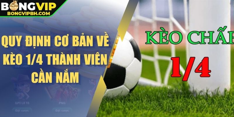 Quy định cơ bản về kèo 1/4 thành viên cần nắm