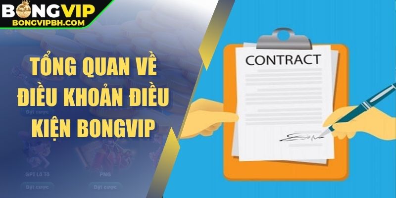 Tổng quan về điều khoản điều kiện BONGVIP
