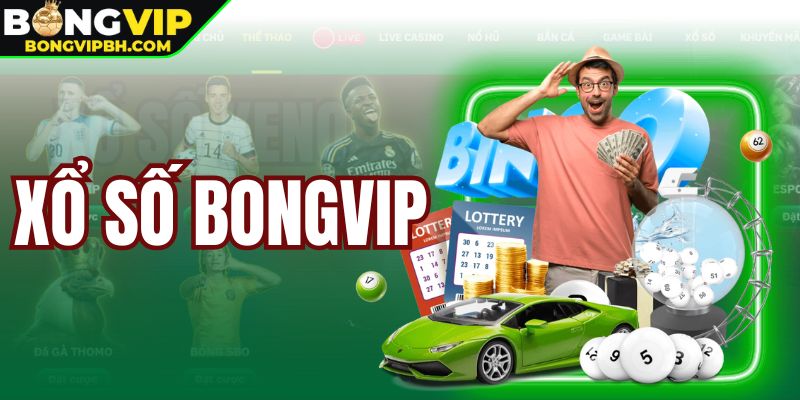 Xổ Số Bongvip - Tìm Hiểu Về Điểm Cá Cược Hàng Đầu 