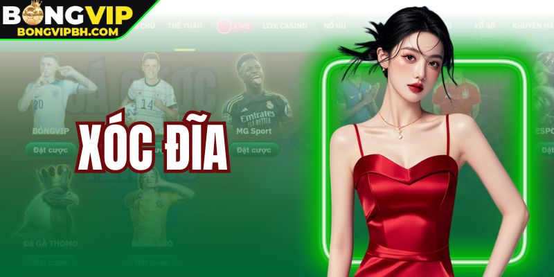 Xóc Đĩa - Hướng Dẫn Cách Chơi Nâng Cao Mức Lợi Nhuận