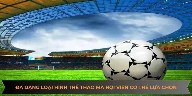 Cung cấp đa dạng các bộ môn thể thao